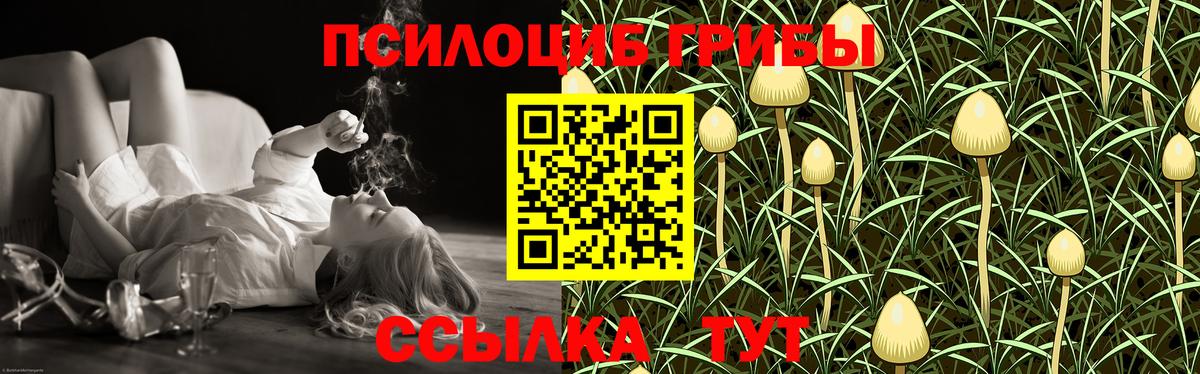 как найти наркотики  Вход с VPN  Рыбинск  Псилоцибиновые грибы Psilocybe 